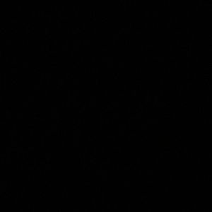 Meet your Posher, Laci